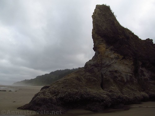 At the ocean end of the Lion Rock sea stack on Arcadia Beach, Oregon