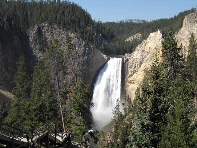 Yellowstone salvaje: cañones, cataratas, praderas y supervivencia en el lago. - Costa oeste de Estados Unidos: 25 días en ruta por el far west (22)