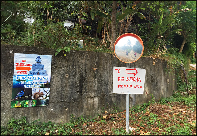 Buddha Hike Signpost