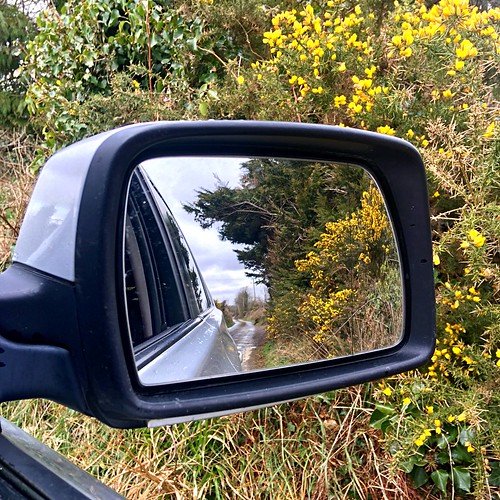 gorse carwindow rearviewmirror reflection lane wexford ireland irish iphonese green foliage flowers inexplore squareformat
