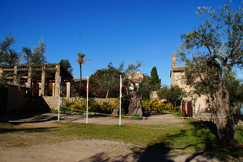 Monasterio de Miramar, Valldemossa y La Granja, 29-3-2018 - Mallorca (7)