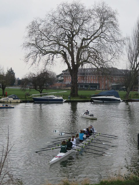 Thames Path - Richmond to Hampton Court