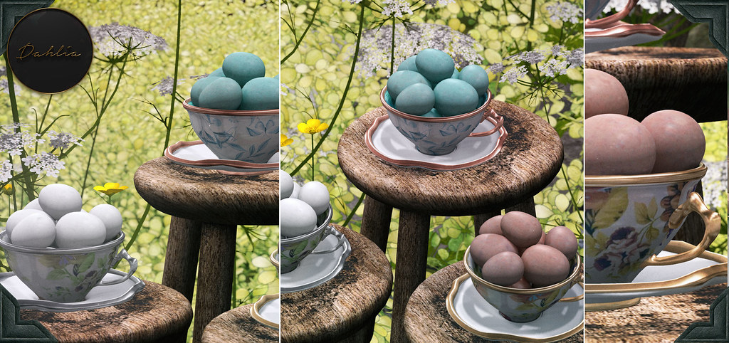 Dahlia – Sunday – Teacup Eggs