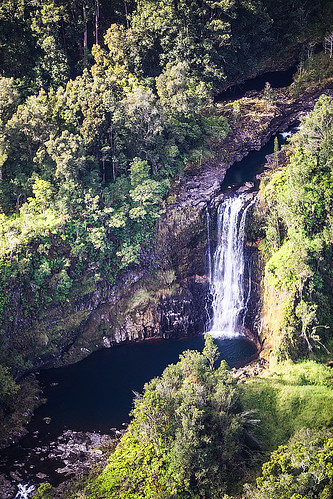 wailukuriver lauiolefalls hawaii hiloarea helicopter rainforest hilowatershedreserve waterfall cascade pool falls stream watercourse gully creek river wyojones np