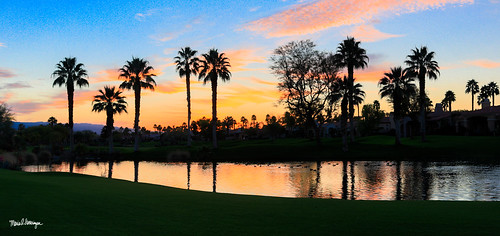 palmdesert palmsprings countryclub golf grass sunrise california unitedstates us ten