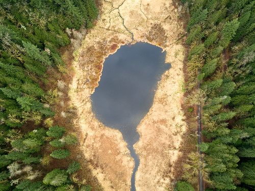 duvall washington unitedstates us nature pond trees forest dronephotography aerial djimavicpro pacificnorthwest swamp