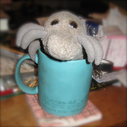 A nice cup of mite