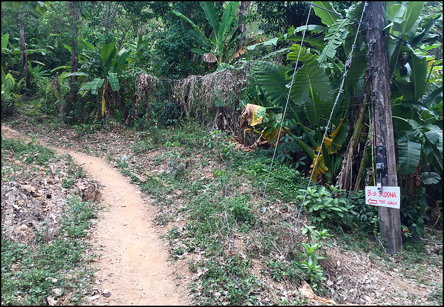 Hike to Phuket Big Buddha - Dirt Path