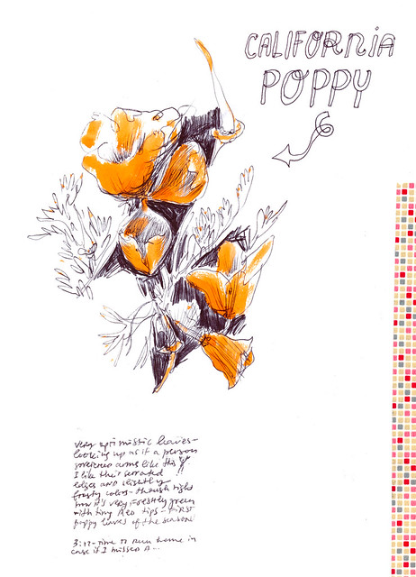 Sketchbook #112: California Poppies