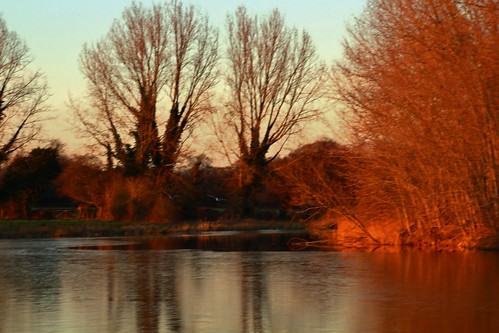 europe england cheshire outdoor nature beauty sunlight simplysuperb sunset trees lake water reflections goldenlight