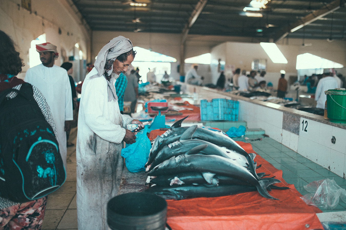 targ w Sinaw, Oman