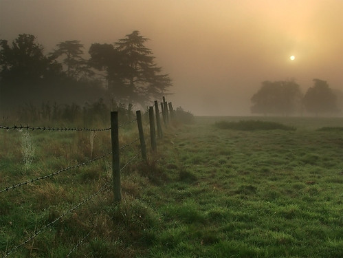 field sunrise fence dawn perfect buckinghamshire cobweb barbedwire slough berkshire kevday langleypark abigfave