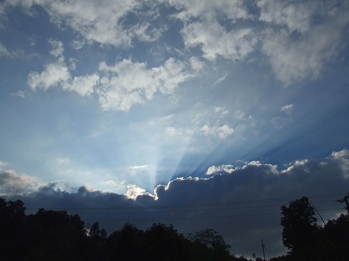 trees sun clouds gray bluesky powerlines rays