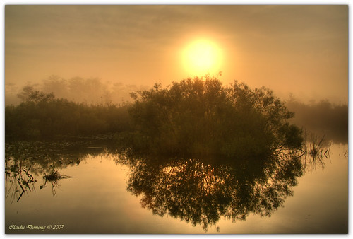 morning nature misty sunrise florida foggy everglades evergladesnationalpark hdr canoneosdigitalrebelxt humid photomatix canonefs1785mmf456isusm anhingatrail 9exp