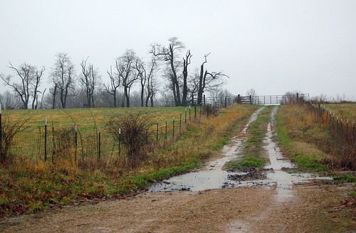landscape kentucky wet rainy rural spring