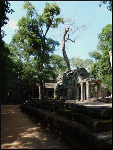 Templos y naturaleza en Siem Reap y costa oeste de Malasia - Blogs de Asia Sudeste - Siem Reap y los templos de Angkor (46)