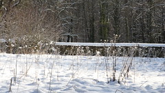 Voisins et la Croix du bois sous la neige