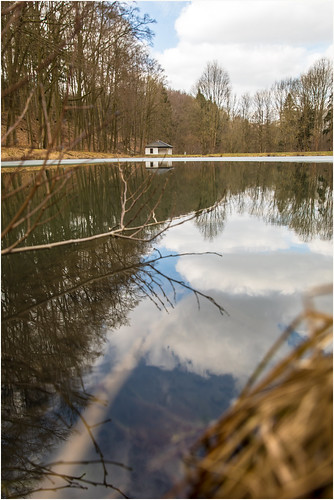 lake teich pferdebachtal reflections water trees bäume märz canoneos5dmarkiv ef2470f28liiusm