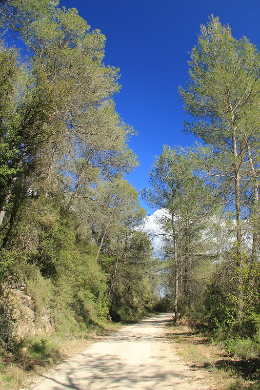 Quiet tarmac roads, hiking in Catalonia