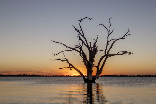 lake bonney australië rx10 iv rx10m4 sunset dead tree sony rx10iv