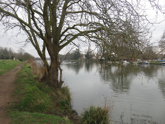 Thames Path - Richmond to Hampton Court