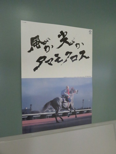 福島競馬場のポスター