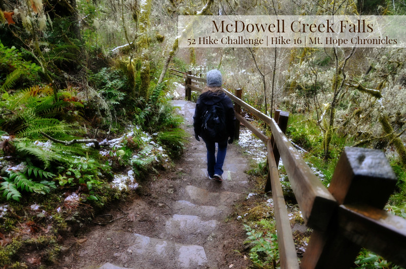 McDowell Creek Falls Hike 16 @ Mt. Hope Chronicles