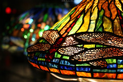 Tiffany Glass collection: Dragonfly