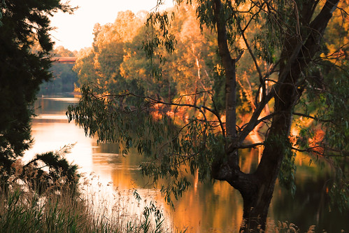 river dubbo water landscape morning macquarieriver australia