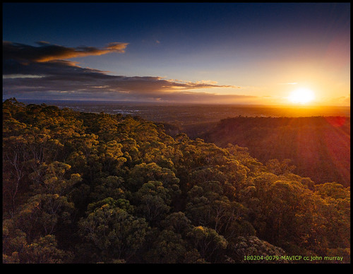 australia trees sydney sunrise 2018 bluemountains glenbrook newsouthwales au