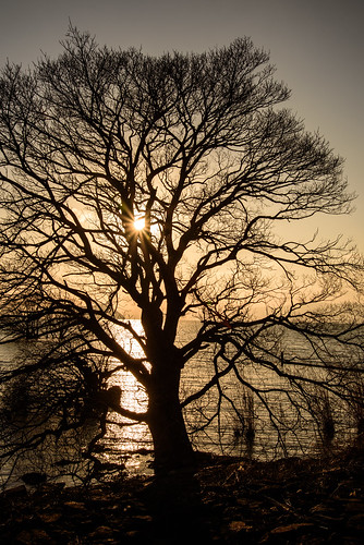 長浜市 滋賀県 japan lake 湖 琵琶湖 夕景 sunset