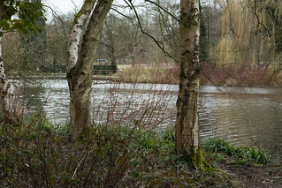 20180322-18_Coombe Abbey Country Park - Glimpse of the Main Lake