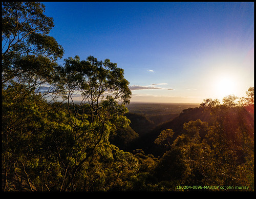 australia trees dawn sydney sunrise 2018 bluemountains glenbrook newsouthwales au