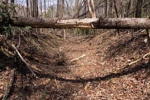 Possible Appalachian Lumber Company railroad cut