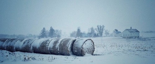 bales farm winter spring wind field weather springplanting country rural cold illinois
