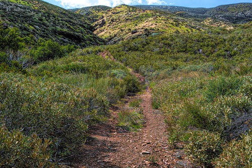 bouquetcanyon sierrapelonamountains path dirt hiking trail green mountain walking bouquetcanyonroad joelach