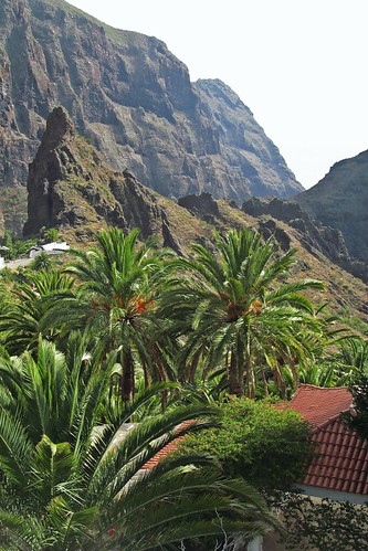 palms mountains masca tenerife canaryislands spain landscape trees view travels