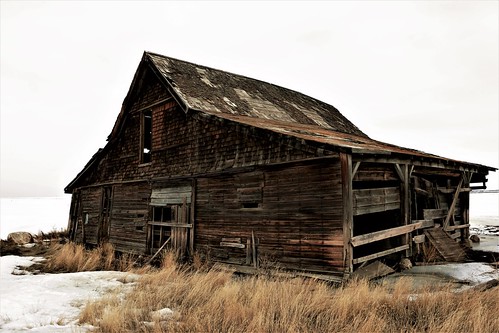 abandoned shed abandonedshed farmbuilding alberta