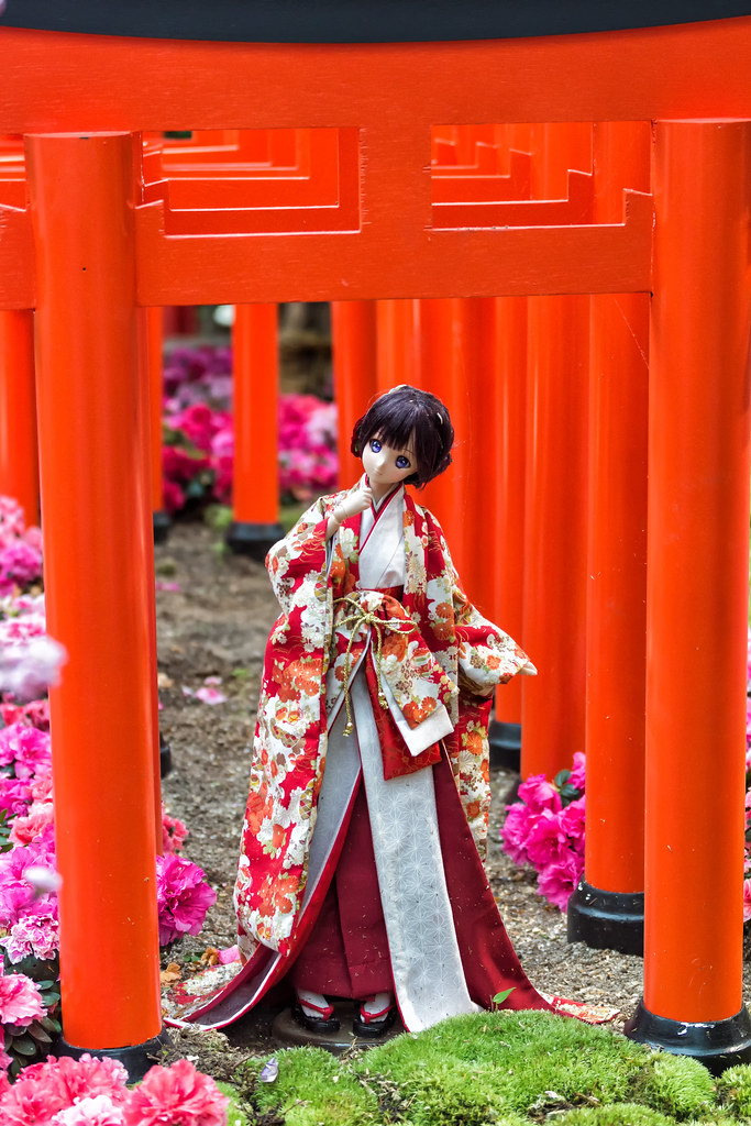 Последний день цветения сакуры. Flower Dome работает по расписанию. выставки, кимоно, каждый, очень, просто, самый, японские, Самый, украшением, японцами, веселый, Далеко, одевших, людей, человек, простым, множество, окончания, меньшим, Увидев