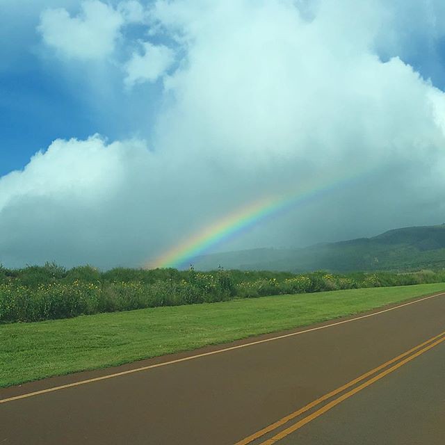 I love the rainbows in Maui—they stick around for a long time. 🌈🌈
