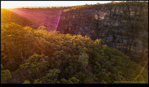 australia trees sydney sunrise 2018 bluemountains glenbrook newsouthwales au