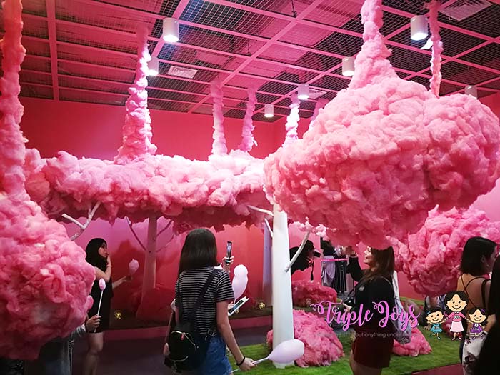the-dessert-museum-cotton-candy-8