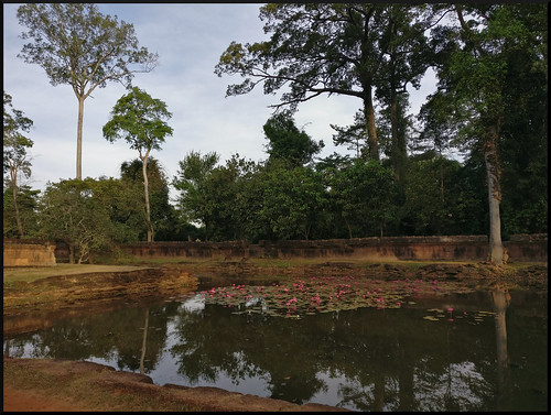 Templos y naturaleza en Siem Reap y costa oeste de Malasia - Blogs de Asia Sudeste - Siem Reap y los templos de Angkor (66)