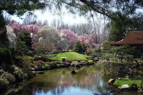 sony rx100 philadelphia fairmount park philly shofuso japanese house garden pond nature urban sakura cherry blossom festival fairmountpark