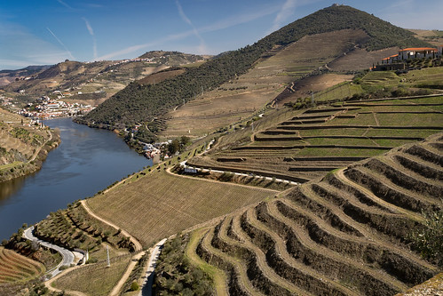 tabuaco portugal pinhão douro river dourovalley landscape wine winery vineyard terrace sandeman quintadoseixo leaningladder canon 7d mkii