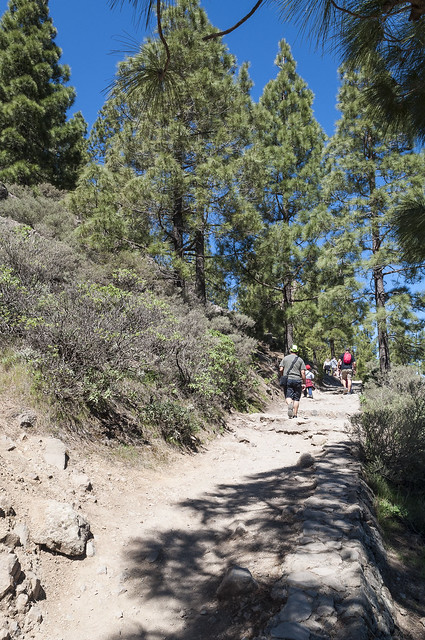 El Roque Nublo-Gran Canaria, Naturaleza-España (12)