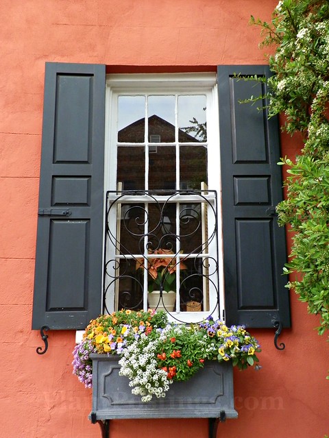 window box 2