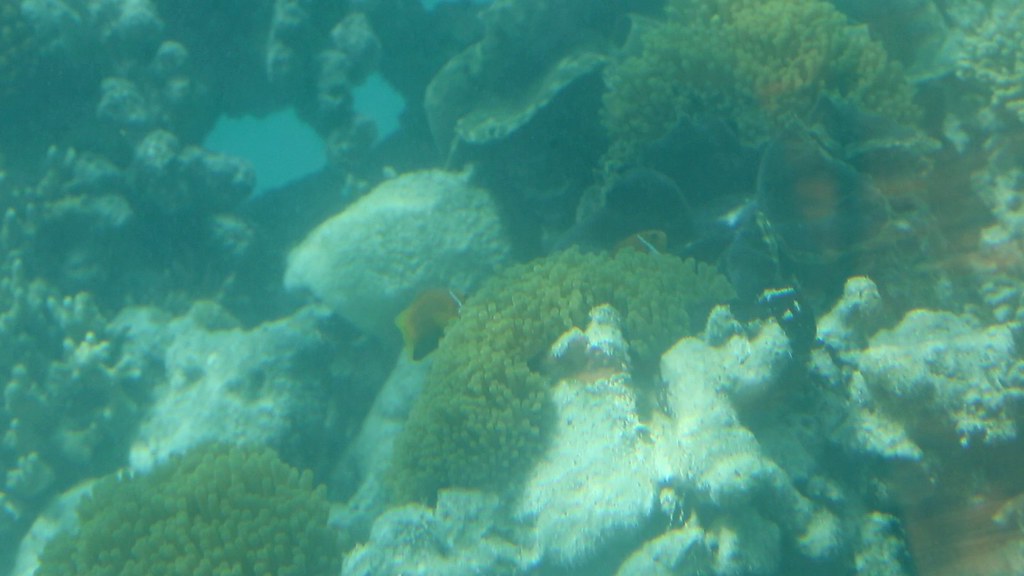 Maldives underwater restaurant 16