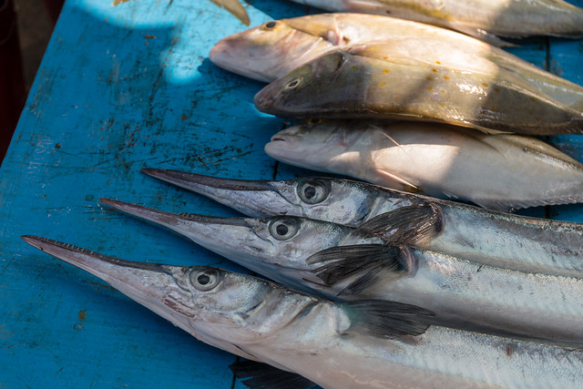 Fischmarkt Negombo