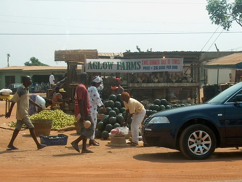 Market scene - Agloo Farms
